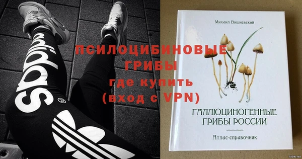 гидра Алексин
