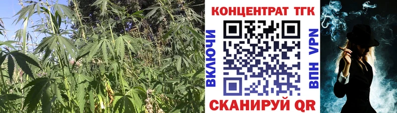 как найти наркотики MEGA ТОР Дистиллят ТГК THC oil Приволжск