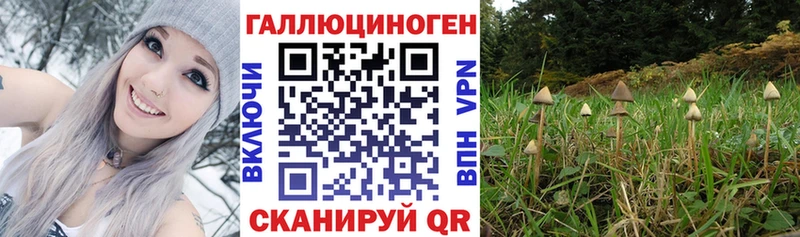 Псилоцибиновые грибы GOLDEN TEACHER Приволжск